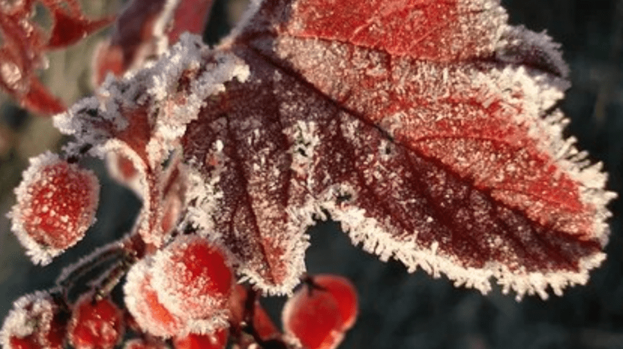 Vine vremea de cojoace? Noaptea gerul a ”bătut” la geam. METEO pentru miercuri, 23 noiembrie
