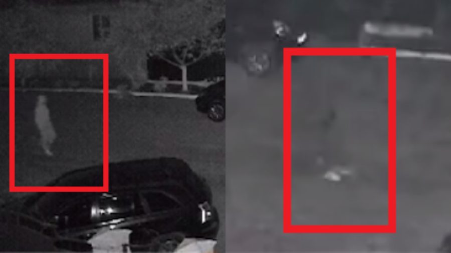 VIDEO plin de mister! Momentul în care o persoană dispare, surprins de cameră. Doar papucii au rămas vizibili