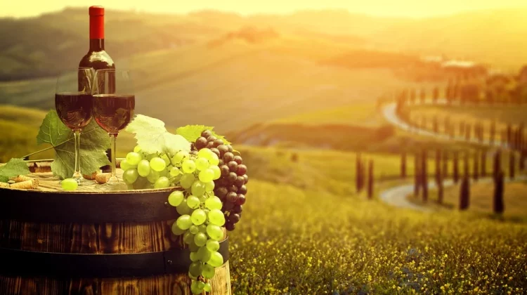 Veste bună pentru viticultori. Mai multe oportunități de export în UE
