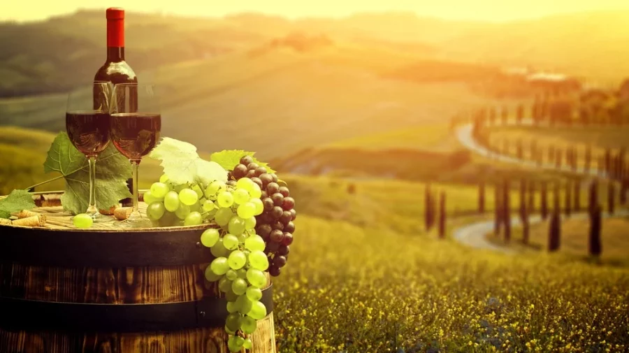 Veste bună pentru viticultori. Mai multe oportunități de export în UE