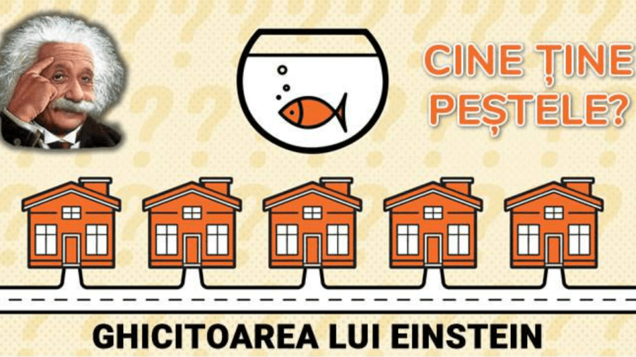 Ghicitoarea lui Einstein pe care doar 2% din populație o poate rezolva