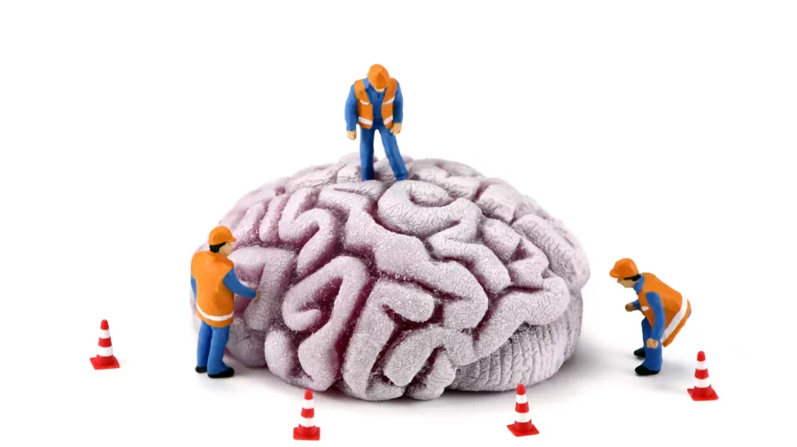 Consumul unui fruct popular ar putea ajuta la reducerea riscului de demență. Ce spune cel mai recent studiu
