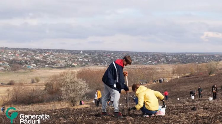 Peste 1 milion de puieți au fost plantați, în acest weekend, în Moldova. Câți oameni au participat la acțiune