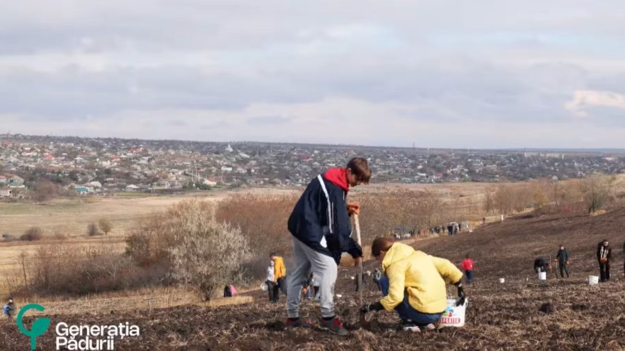 Peste 1 milion de puieți au fost plantați, în acest weekend, în Moldova. Câți oameni au participat la acțiune