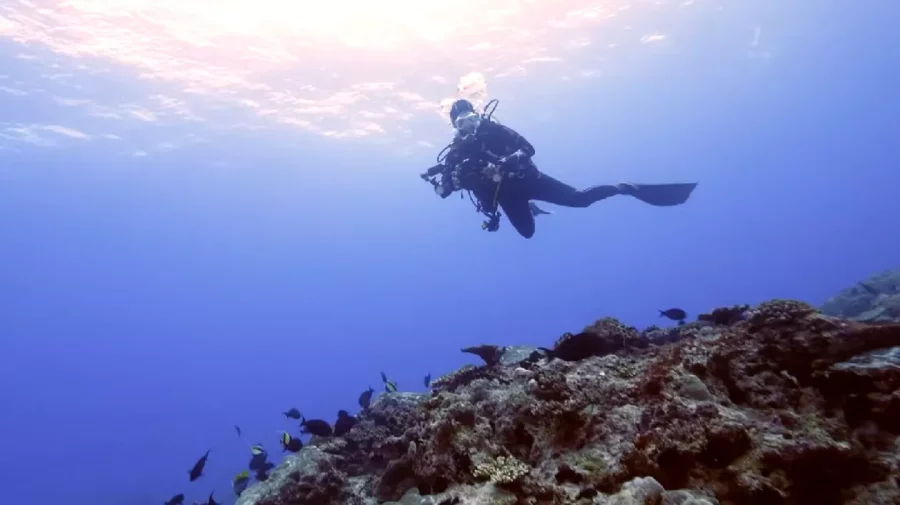 VIDEO Descoperirea uimitoare făcută de un scafandru lângă coasta Sardiniei