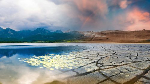 Studiu: Schimbările climatice ar trebui declarate urgență sanitară mondială. Trei milioane de decese în opt ani