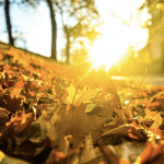 Prognoza meteo pentru 2 octombrie: Înghețuri izolate la suprafața solului și până la 23 de grade pe timp de zi