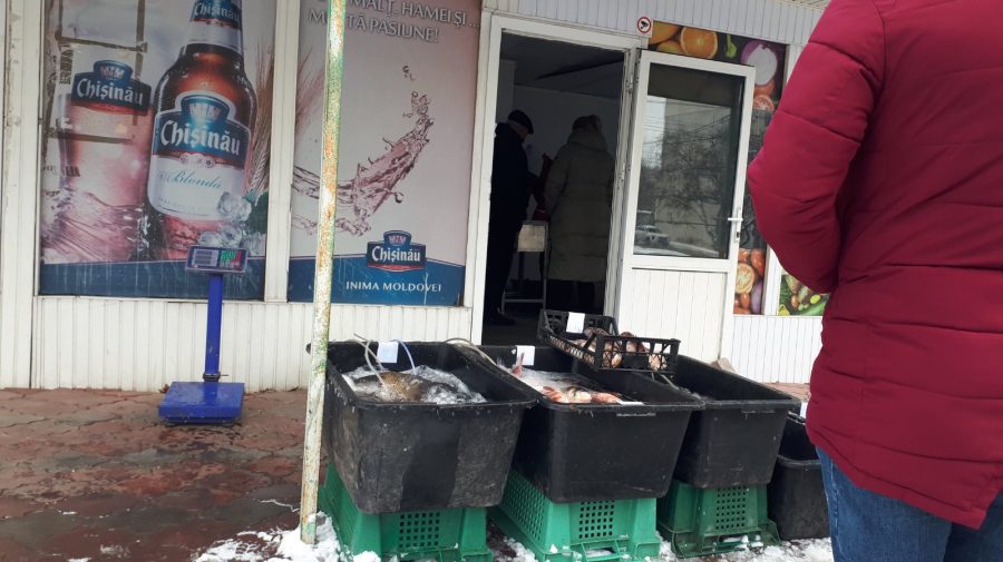Inspectorii ANSA au luat pe sus câțiva comercianți din Chișinău: Vindeau pește ilicit