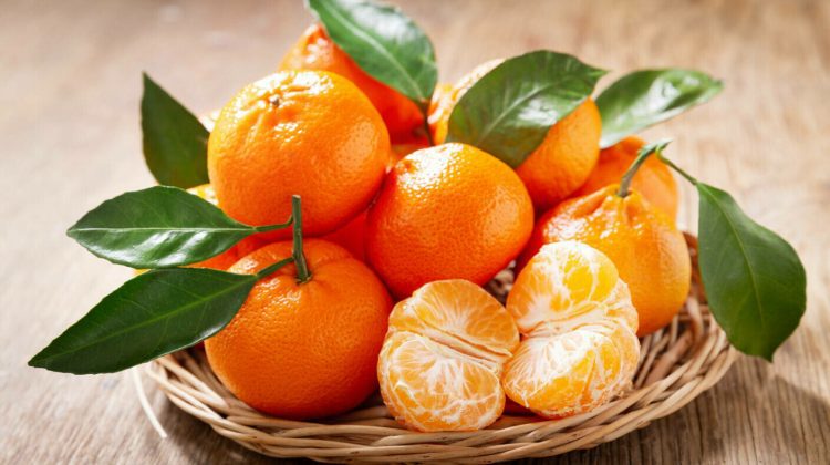 Care este diferența dintre mandarine și clementine. Cum să le deosebești