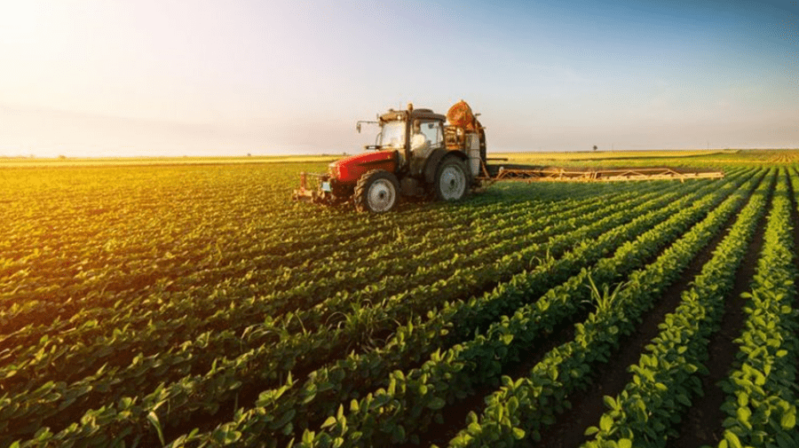 Finanțări de 16, 5 milioane euro pentru agricultorii din Moldova. Proiectul vizat