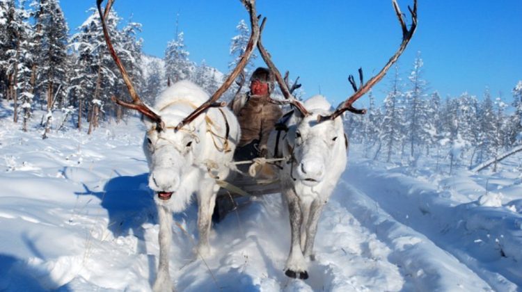 Cum este să trăieşti în cel mai rece oraş din lume? Locuitorii din Oymyakon rezistă unor temperaturi de -62 °C