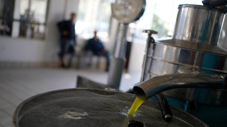 Uleiul de măsline, ținta grupărilor infracționale. Poliția a confiscat peste 5.000 de litri. Unde s-a întâmplat?