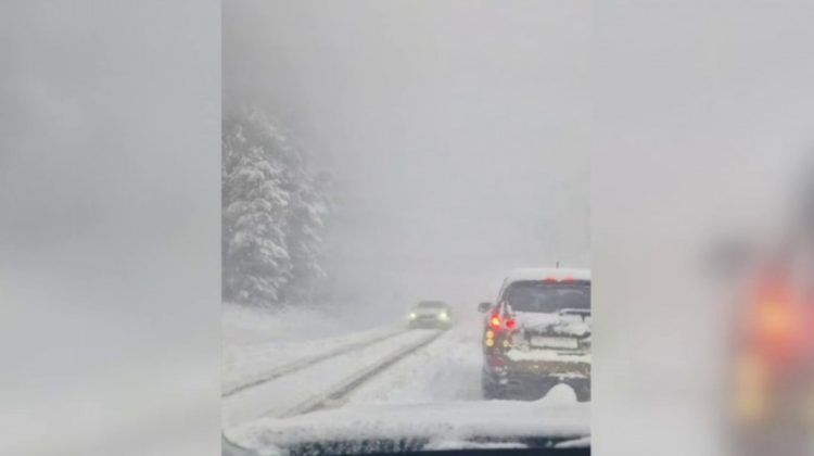 VIDEO Vremea rea face ravagii în România: Mașini și turiști blocați în zăpadă. Au avut loc și trei cutremure