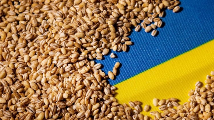 Ucraina estimează o recoltă de cereale de aproape 60 milioane de tone anul acesta