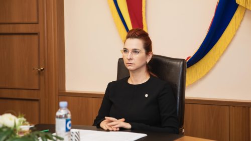 Declarația de avere a Anei Revenco: Ce venituri a încasat până la plecarea de la șefia așa-zisului „Patriot”