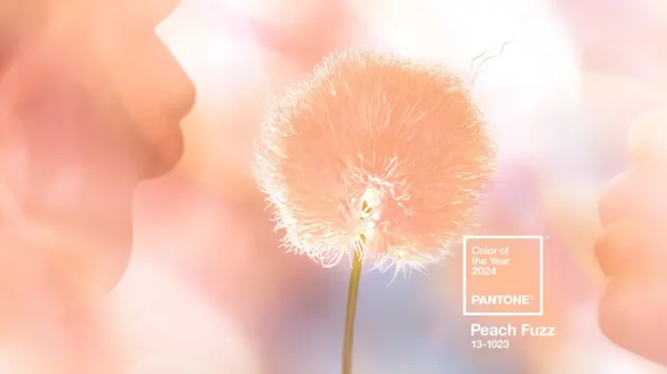Pantone a anunțat culoarea anului 2024: „Peach Fuzz”. Ce simbolizează?