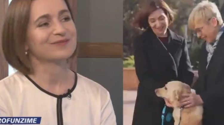 Ce a pățit Codruț după ce l-a mușcat pe președintele Austriei? Sandu: A fost supărat pe mine câteva zile