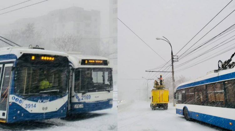 Troleibuzele și autobuzele nu mai circulă prin oraș! Circulația transportului public, sistată de autorități