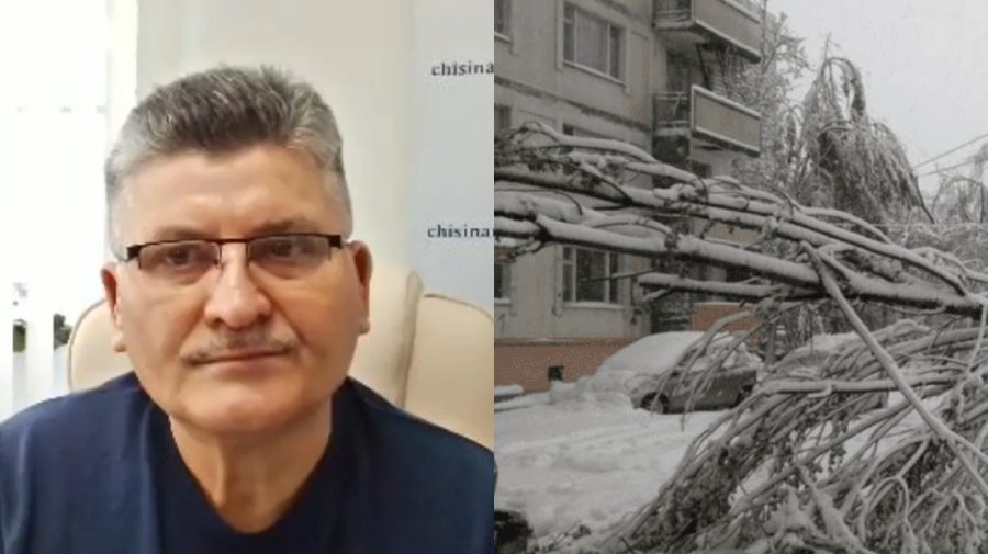 VIDEO Șeful de la Spații Verzi, după ce un copac s-a prăbușit peste trei copii la Botanica: „Cerem scuze părinților”