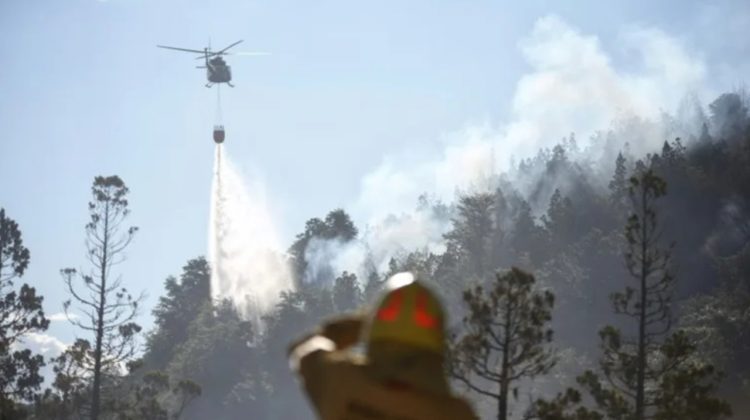 Un incendiu a devastat 600 de hectare dintr-un parc natural din Patagonia, înscris în patrimoniul UNESCO