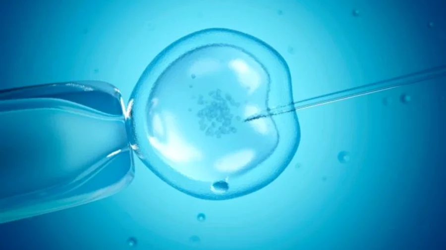 A fost descoperită o metoda non-invazivă care ar putea prezice cu exactitate rezultatele fertilizărilor in vitro