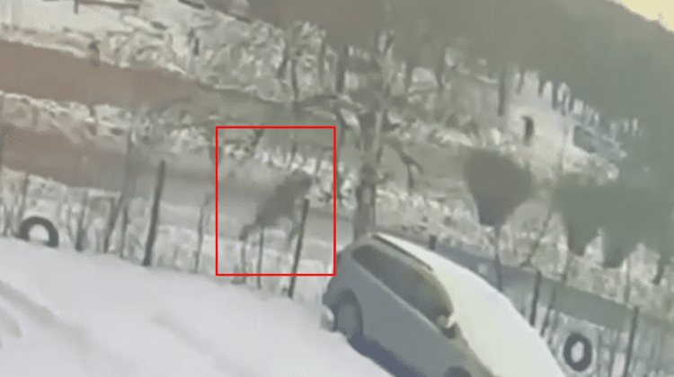 STOP CADRU cu bărbatul care fuge după comiterea unui jaf. Poliția l-a identificat