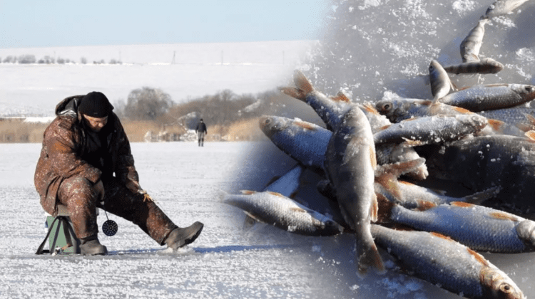 VIDEO Moldovenii, dornici să iasă la pescuit. Unii au așteptat gerul ca să-și încerce norocul