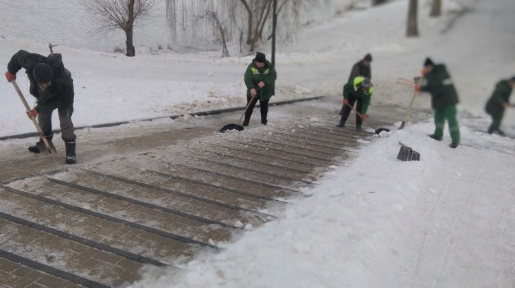 FOTO Serviciile municipale au efectuat lucrări de combatere a poleiului