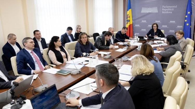 VIDEO Parlament: În ultimele două ierni, au fost comise ilegalități la comercializarea lemnelor moldovenilor. LISTA