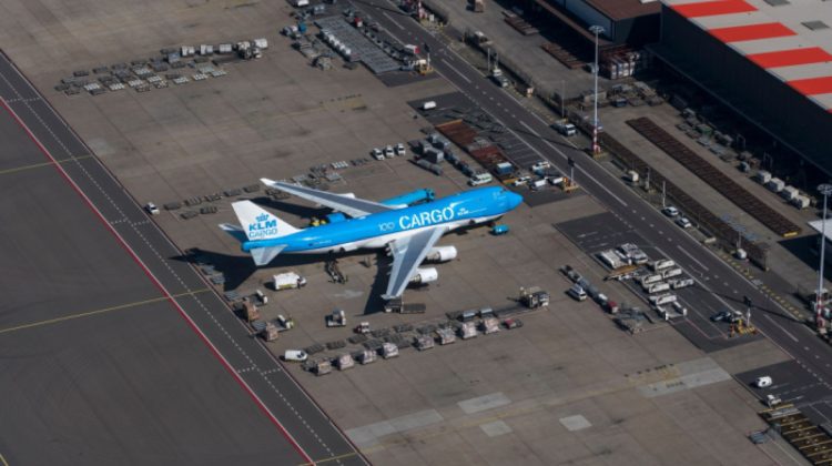 Viermi căzuți pe un pasager dintr-un bagaj de mână. Avionul s-a întors de urgență pe aeroportul din Amsterdam