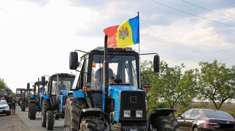 Agricultorii moldoveni s-au plâns pe guvernare ambasadorului român. MAIA enumeră ajutorul care le poate fi acordat