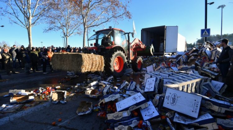 „Răbdarea noastră s-a terminat”. Fermierii polonezi amenință cu grevă generală și blocarea graniței cu Ucraina