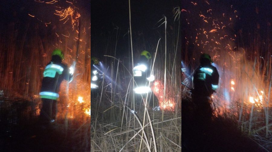 Focare de vegetație din Etulia, lichidate de pompieri. IGSU: Au ars circa 300 metri pătrați de stufăriș