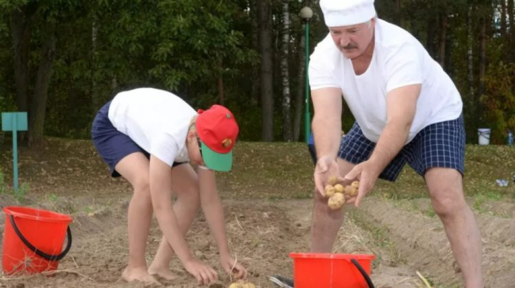 Parlamentul European a inițiat o dezbatere privind interzicerea importului de produse agricole din Rusia și Belarus
