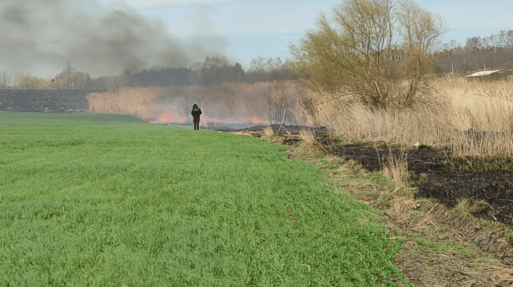 FOTO Incendiu de vegetație într-o localitate din Rîșcani. Inspectoratul pentru Protecția Mediului vine cu detalii