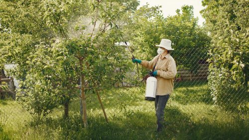Moldoveni, fiți atenți! ANSA: Utilizarea pesticidelor incorect poate avea efecte nocive
