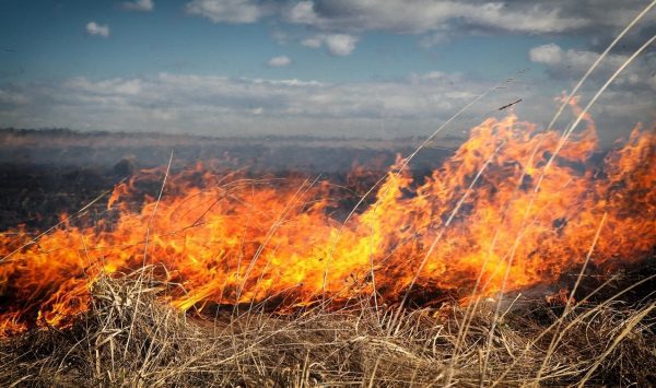Cod galben de vânt puternic: Cetățenii sunt avertizați despre riscul izbucnirii incendiilor de vegetație