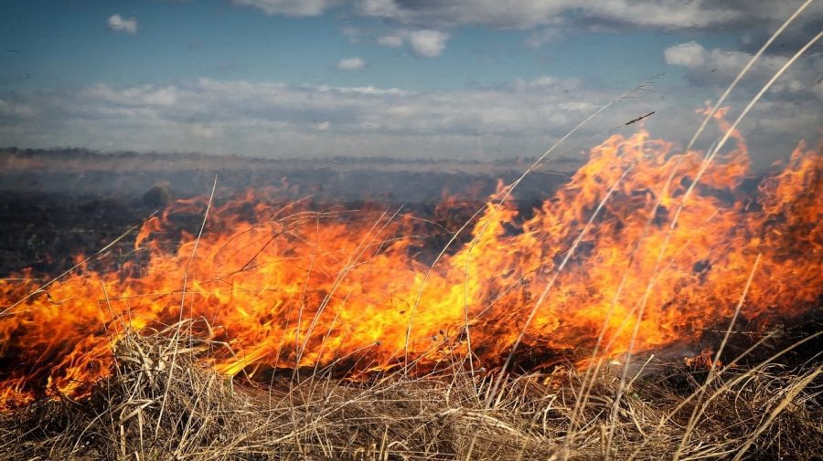Cod galben de vânt puternic: Cetățenii sunt avertizați despre riscul izbucnirii incendiilor de vegetație