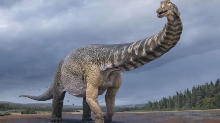 Cel mai mare animal care a trăit vreodată pe Terra te putea strivi într-o secundă. Ce greutate avea