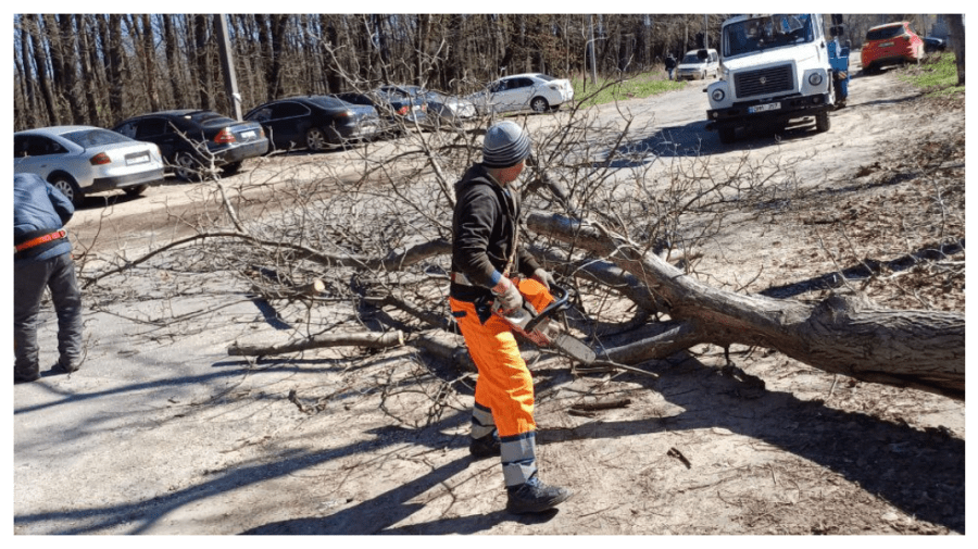 FOTO Vântul puternic a făcut ravagii în Chișinău. Străzile unde a fost nevoie de intervenția specialiștilor