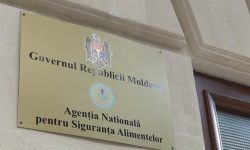 În Moldova a fost lansat „e-ANSA”. Portalul va ușura activitatea agenților economici