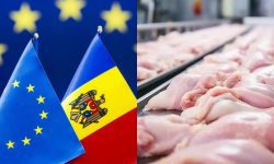 PREMIERĂ pentru țara noastră! Producătorii moldoveni vor exporta carnea de pasăre proaspătă în UE