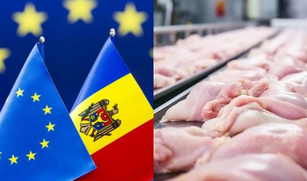 PREMIERĂ pentru țara noastră! Producătorii moldoveni vor exporta carnea de pasăre proaspătă în UE