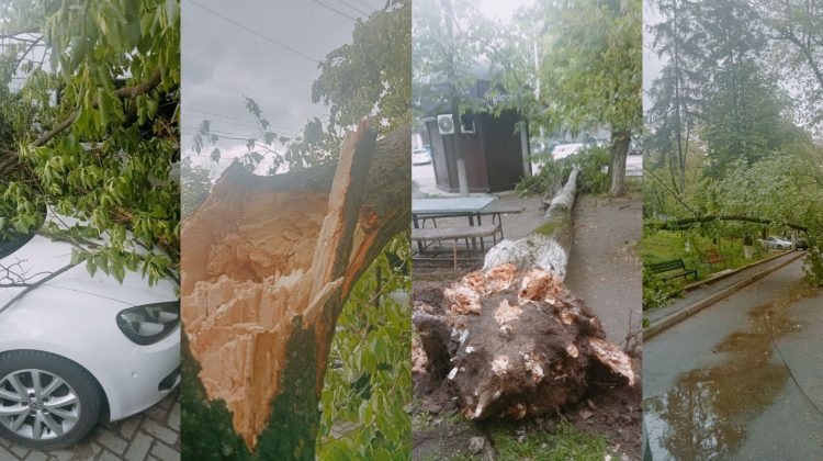 VIDEO Vântul puternic a făcut ravagii în Chișinău. Mai mulți copaci au căzut peste mașini și gherete