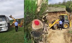 Copaci tăiați și argilă extrasă ilegal, la Drochia. Au fost aplicate amenzi