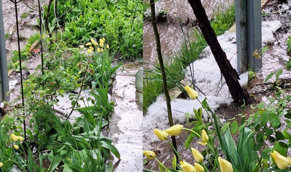 VIDEO Natura s-a dezlănţuit. O ploaie cu grindină a făcut prăpăd în raionul Soroca