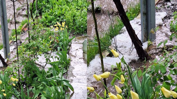 VIDEO Natura s-a dezlănţuit. O ploaie cu grindină a făcut prăpăd în raionul Soroca