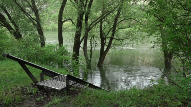 VIDEO Pericol pentru locuitorii din Naslavcea și Vălcineț. Nivelul apei în râul Nistru crește