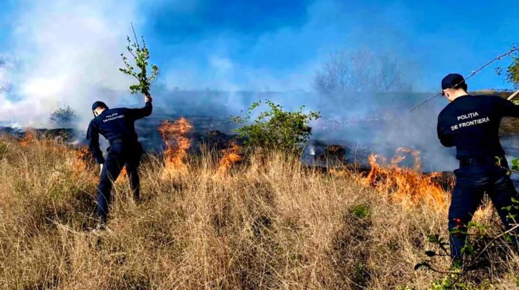 Incendiu de vegetație în raionul Nisporeni. Polițiștii de frontieră și pompierii au intervenit prompt