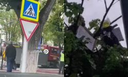 Disperare sau prostie? VIDEO Un bărbat a urcat într-un copac din fața Parlamentului și spunea că își dă foc